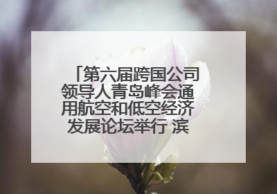第六届跨国公司领导人青岛峰会通用航空和低空经济发展论坛举行 滨州市全方位推介低空经济发展优势
