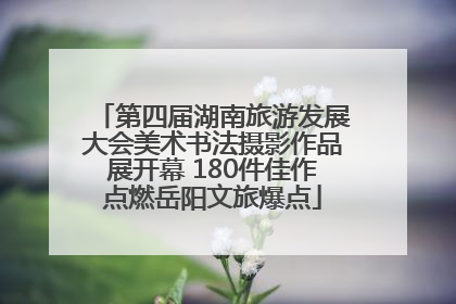 第四届湖南旅游发展大会美术书法摄影作品展开幕 180件佳作点燃岳阳文旅爆点