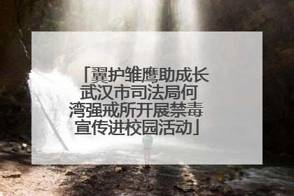 翼护雏鹰助成长 武汉市司法局何湾强戒所开展禁毒宣传进校园活动