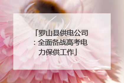 罗山县供电公司：全面备战高考电力保供工作