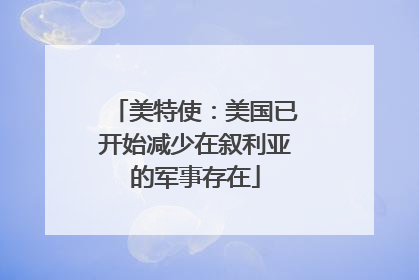 美特使：美国已开始减少在叙利亚的军事存在