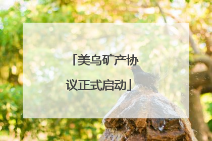 美乌矿产协议正式启动