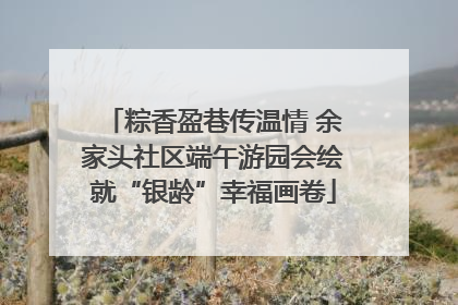 粽香盈巷传温情 余家头社区端午游园会绘就“银龄”幸福画卷