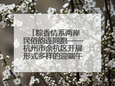 粽香情系两岸 民俗韵连同胞——杭州市余杭区开展形式多样的迎端午联谊活动