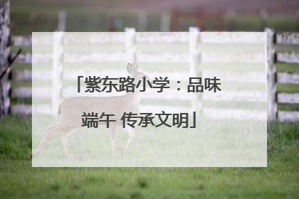 紫东路小学：品味端午 传承文明