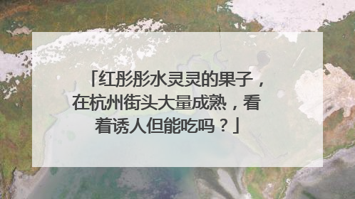 红彤彤水灵灵的果子，在杭州街头大量成熟，看着诱人但能吃吗？