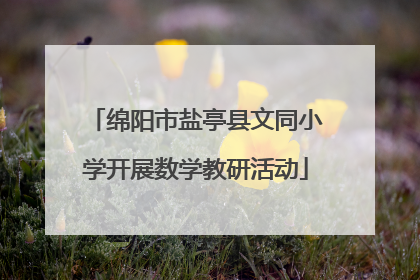 绵阳市盐亭县文同小学开展数学教研活动