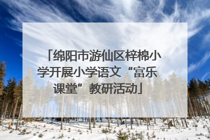 绵阳市游仙区梓棉小学开展小学语文“富乐课堂”教研活动