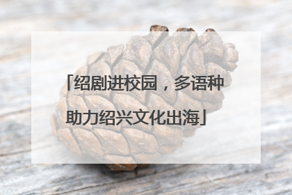 绍剧进校园，多语种助力绍兴文化出海