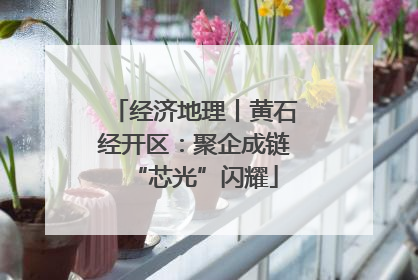 经济地理丨黄石经开区：聚企成链“芯光”闪耀