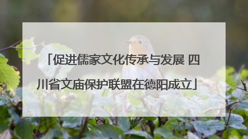 促进儒家文化传承与发展 四川省文庙保护联盟在德阳成立