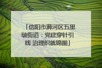 信阳市浉河区五里墩街道：党建穿针引线 治理织就锦图