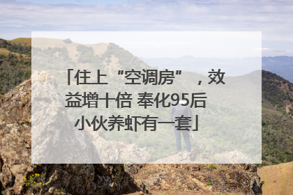 住上“空调房”，效益增十倍 奉化95后小伙养虾有一套