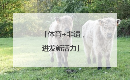 体育+非遗，迸发新活力