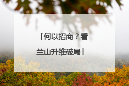 何以招商？看兰山升维破局