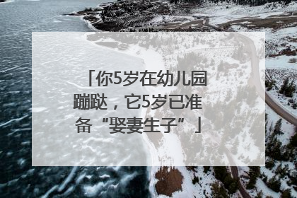 你5岁在幼儿园蹦跶，它5岁已准备“娶妻生子”