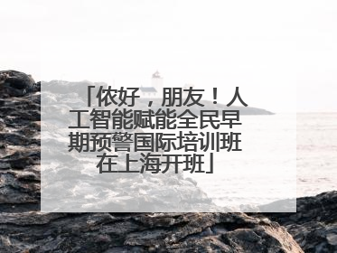 侬好，朋友！人工智能赋能全民早期预警国际培训班在上海开班