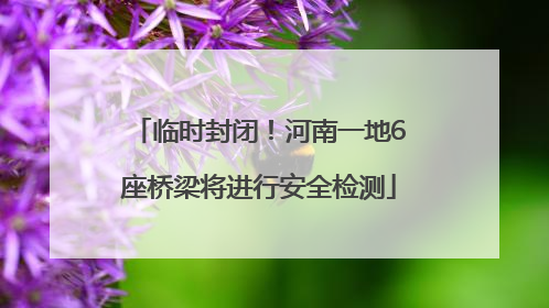 临时封闭！河南一地6座桥梁将进行安全检测