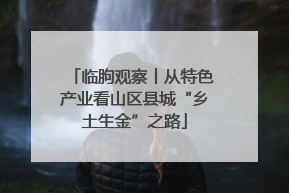 临朐观察丨从特色产业看山区县城“乡土生金”之路