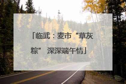 临武：麦市“草灰粽” 深深端午情