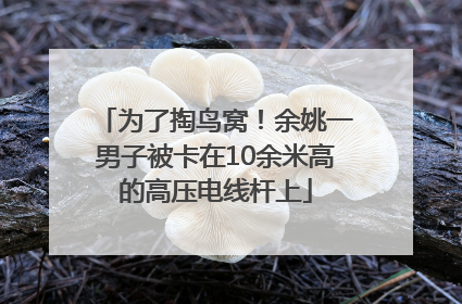 为了掏鸟窝！余姚一男子被卡在10余米高的高压电线杆上