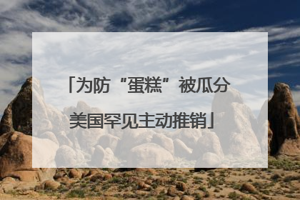 为防“蛋糕”被瓜分 美国罕见主动推销