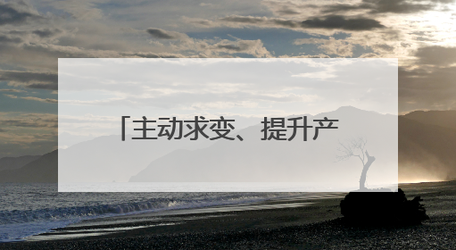 主动求变、提升产品竞争力、“多条腿”走路 跨境电商新大门在打开