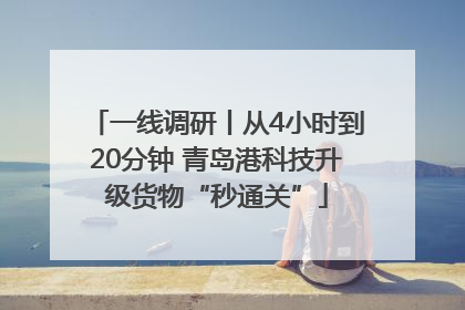 一线调研丨从4小时到20分钟 青岛港科技升级货物“秒通关”