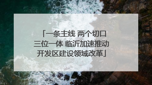 一条主线 两个切口 三位一体 临沂加速推动开发区建设领域改革