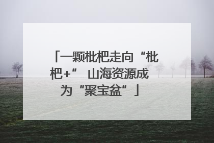 一颗枇杷走向“枇杷+” 山海资源成为“聚宝盆”