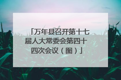 万年县召开第十七届人大常委会第四十四次会议（图）