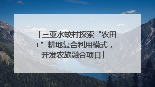 三亚水蛟村探索“农田+”耕地复合利用模式，开发农旅融合项目