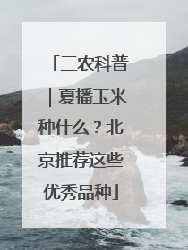 三农科普｜夏播玉米种什么？北京推荐这些优秀品种