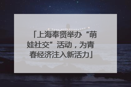上海奉贤举办“萌娃社交”活动，为青春经济注入新活力