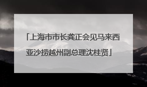 上海市市长龚正会见马来西亚沙捞越州副总理沈桂贤
