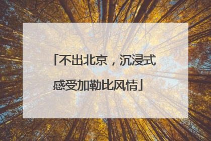 不出北京，沉浸式感受加勒比风情