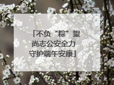 不负“粽”望 尚志公安全力守护端午安康
