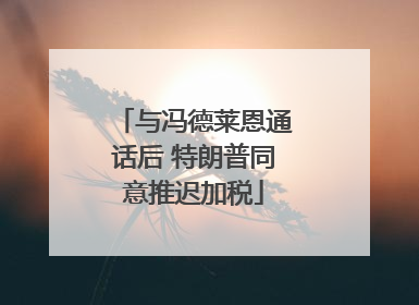 与冯德莱恩通话后 特朗普同意推迟加税