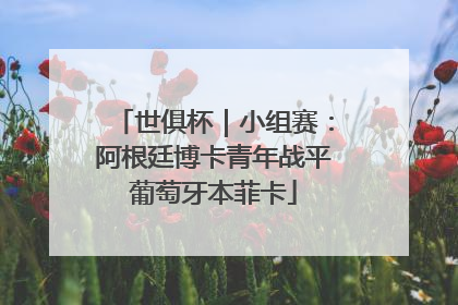 世俱杯｜小组赛：阿根廷博卡青年战平葡萄牙本菲卡