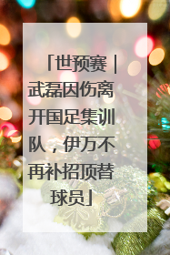 世预赛｜武磊因伤离开国足集训队，伊万不再补招顶替球员