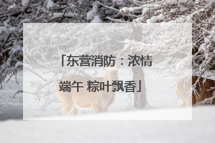 东营消防：浓情端午 粽叶飘香