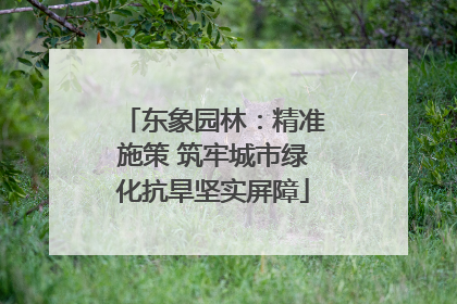 东象园林：精准施策 筑牢城市绿化抗旱坚实屏障