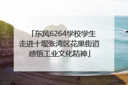 东风6264学校学生走进十堰张湾区花果街道感悟工业文化精神