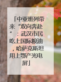 中亚班列带来“双向奔赴”：武汉市民吃上国际粮油，哈萨克斯坦用上鄂产光电屏