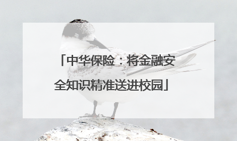 中华保险：将金融安全知识精准送进校园