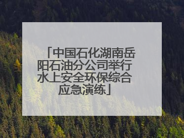 中国石化湖南岳阳石油分公司举行水上安全环保综合应急演练