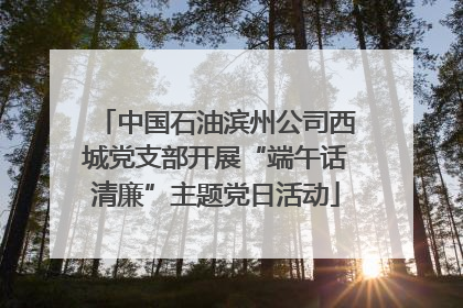 中国石油滨州公司西城党支部开展“端午话清廉”主题党日活动