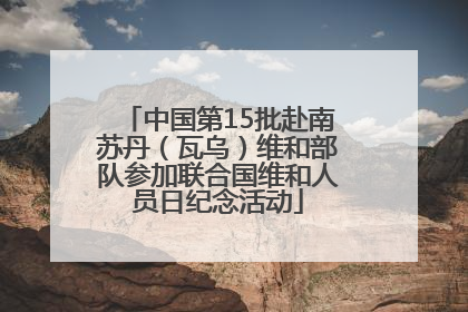 中国第15批赴南苏丹（瓦乌）维和部队参加联合国维和人员日纪念活动