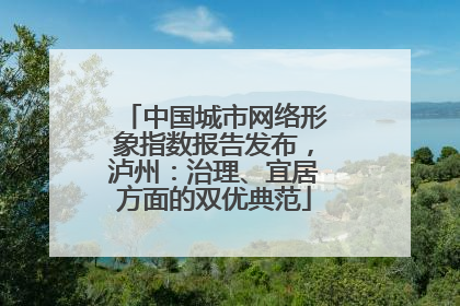中国城市网络形象指数报告发布，泸州：治理、宜居方面的双优典范