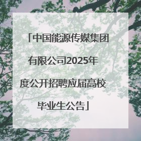 中国能源传媒集团有限公司2025年度公开招聘应届高校毕业生公告